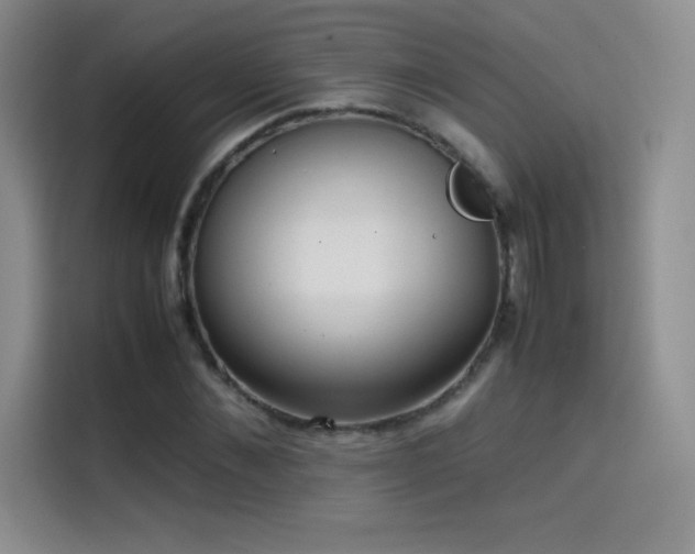 X0000114620876200910201130