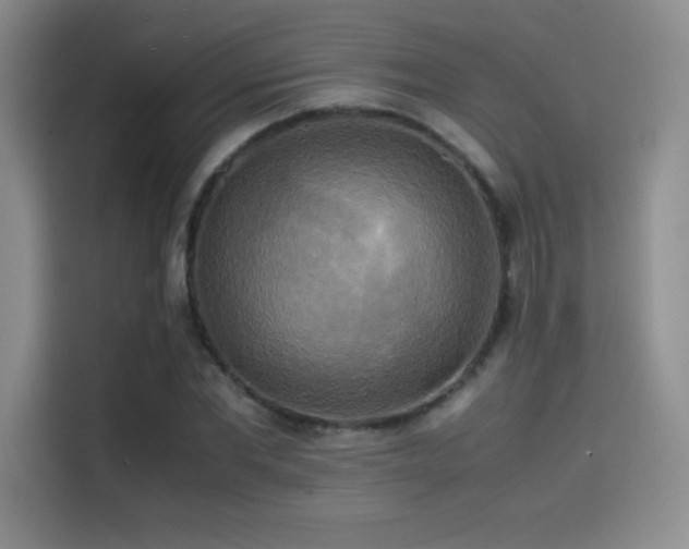 X0000114620877200910201130
