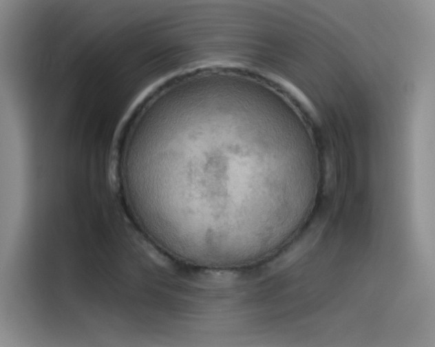 X0000114620878200910201130