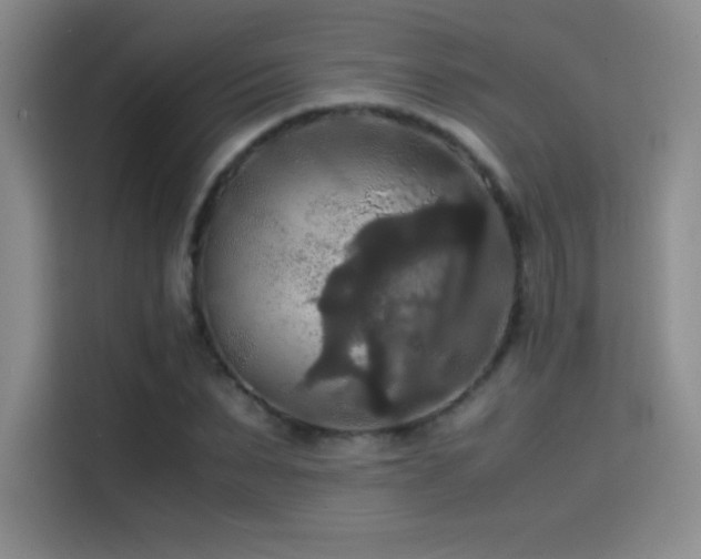 X0000114620879200910201130