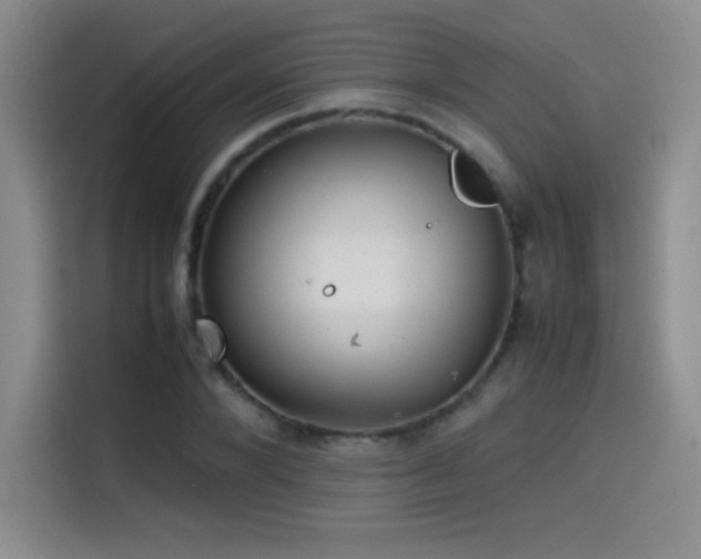 X0000114620880200910201130