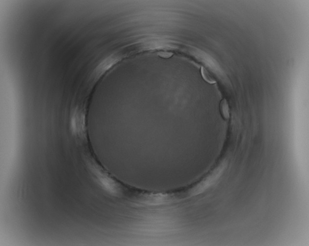 X0000114620881200910201130