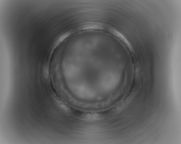 X0000114620882200910201130