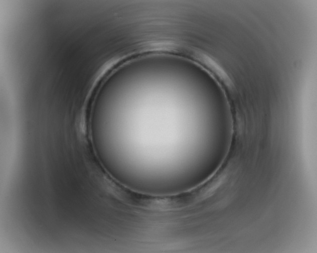 X0000114620883200910201130