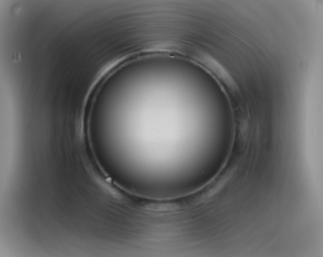 X0000114620884200910201130