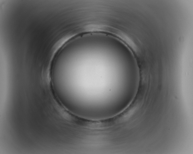 X0000114620885200910201130