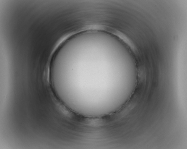 X0000114620886200910201130