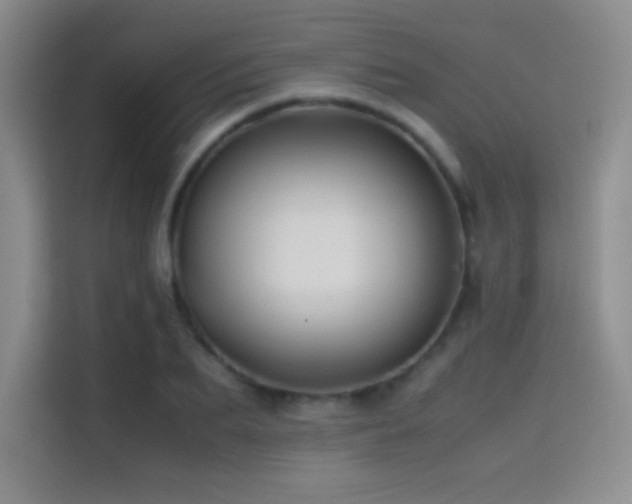 X0000114620887200910201130