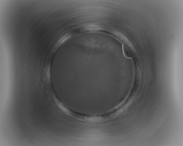 X0000114620889200910201130