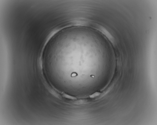 X0000114620891200910201130