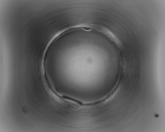 X0000114620892200910201130