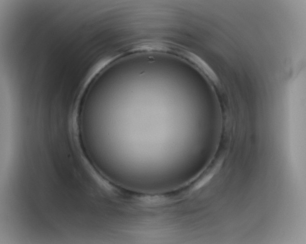X0000114620893200910201130