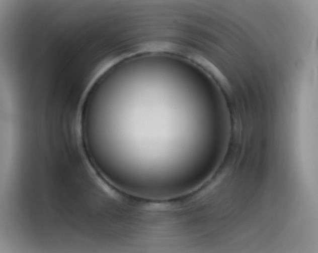 X0000114620894200910201130