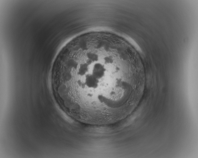X0000114620895200910201130