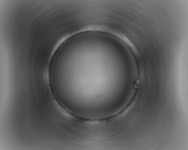 X0000114620896200910201130