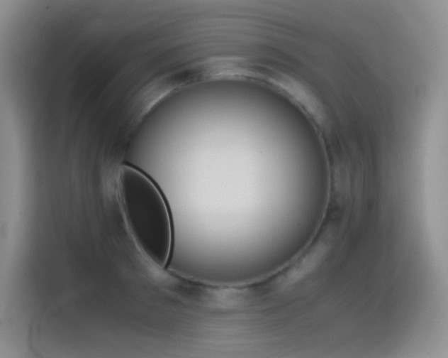 X0000114620897200910201130