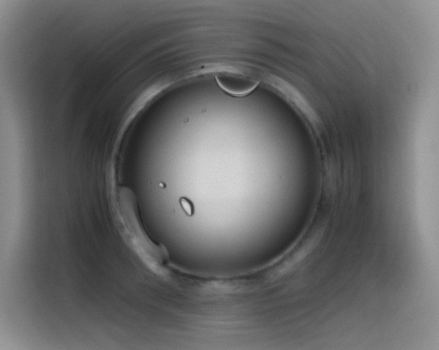 X0000114620898200910201130