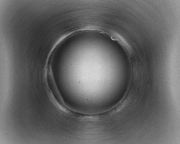 X0000114620900200910201130