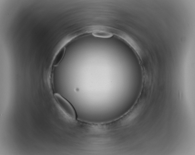 X0000114620901200910201130