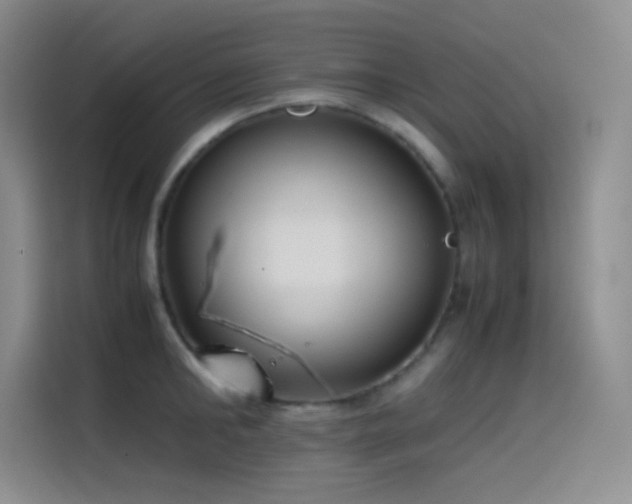 X0000114620902200910201130