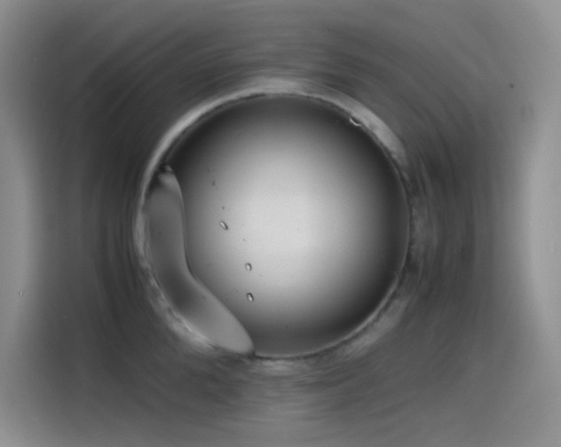 X0000114620904200910201130