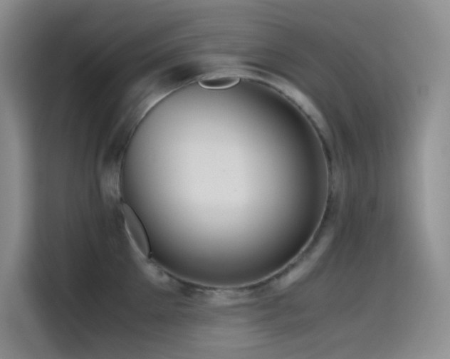 X0000114620905200910201130