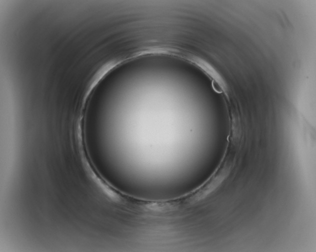 X0000114620906200910201130