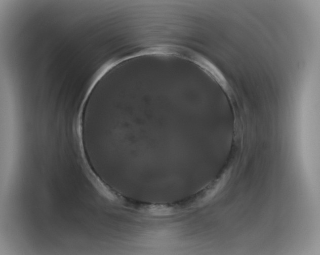 X0000114620907200910201130