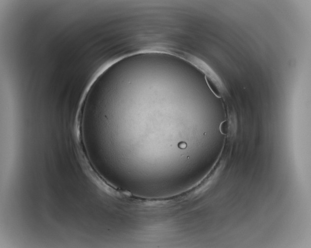 X0000114620908200910201130