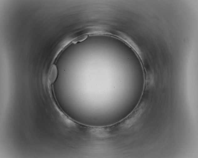 X0000114620909200910201130