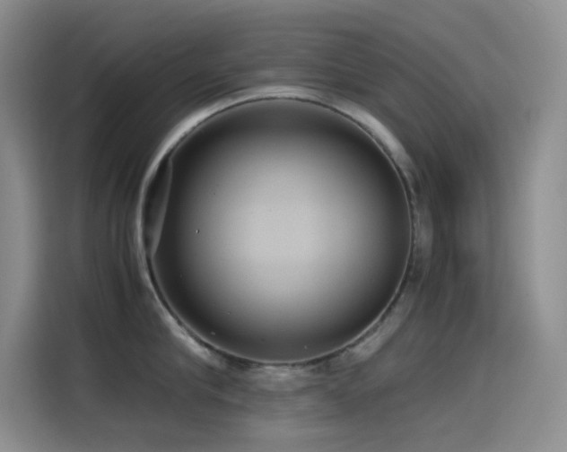 X0000114620910200910201130