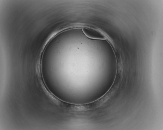 X0000114620911200910201130