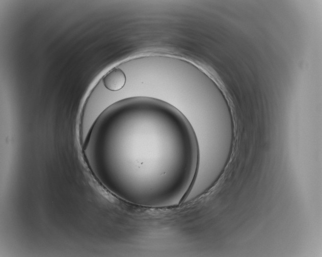 X0000114620912200910201130