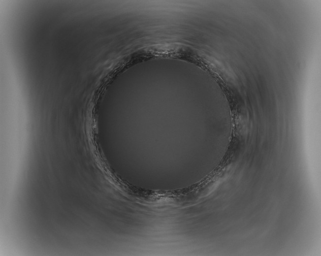 X0000114620913200910201129