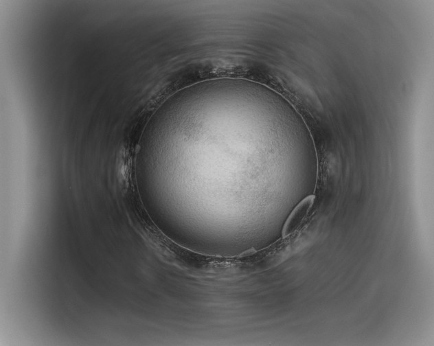 X0000114620914200910201129