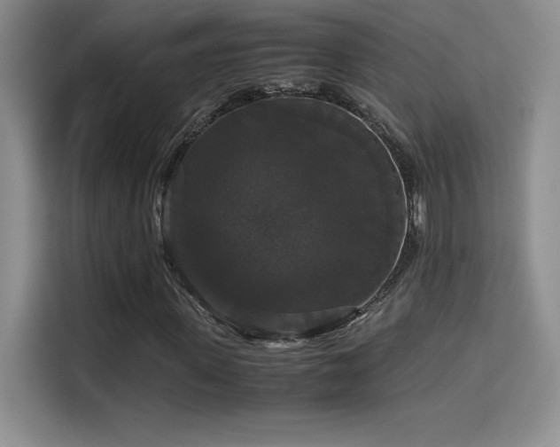 X0000114620915200910201129
