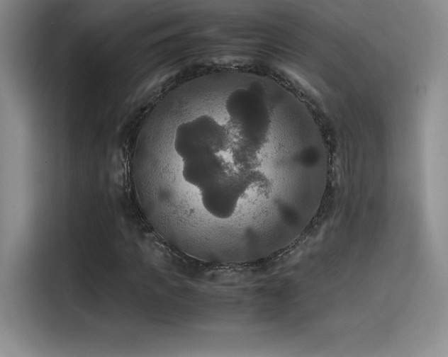 X0000114620917200910201129