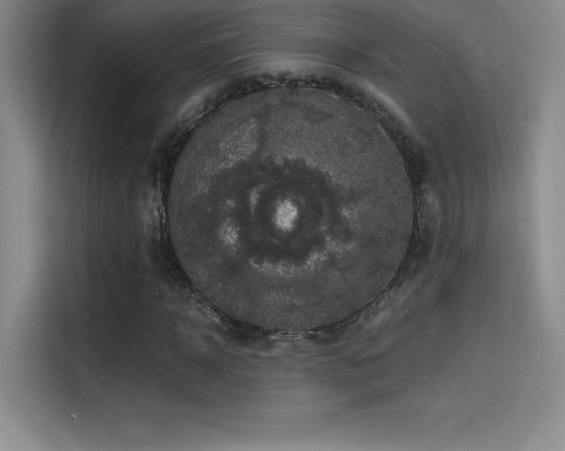 X0000114620918200910201129