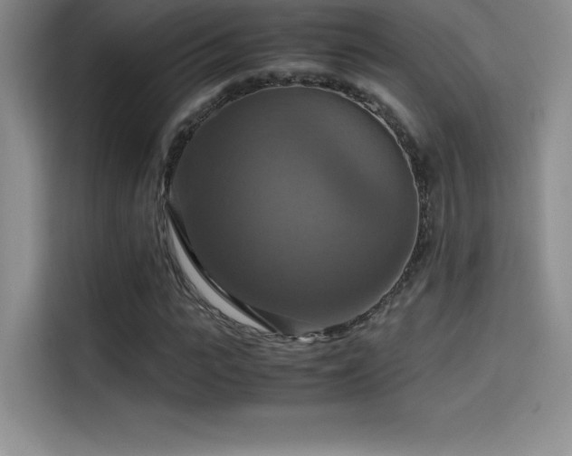 X0000114620919200910201129
