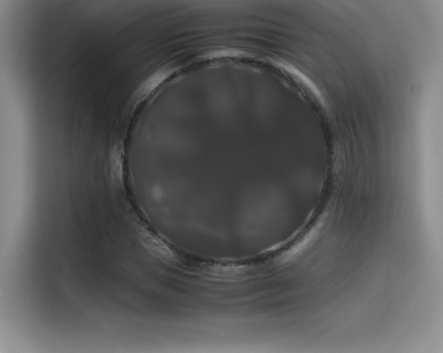 X0000114620921200910201129