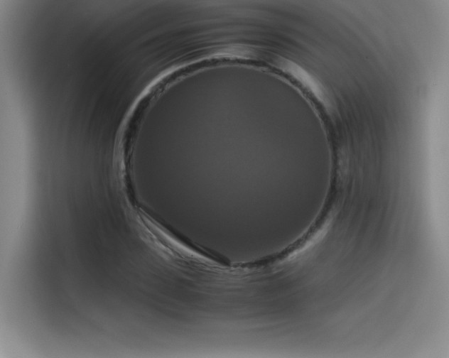 X0000114620923200910201129