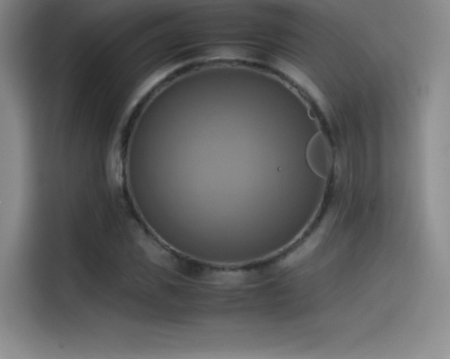 X0000114620925200910201129