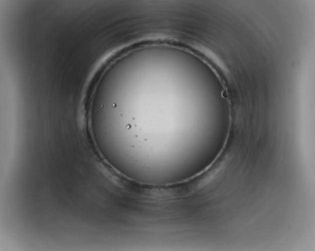 X0000114620927200910201129