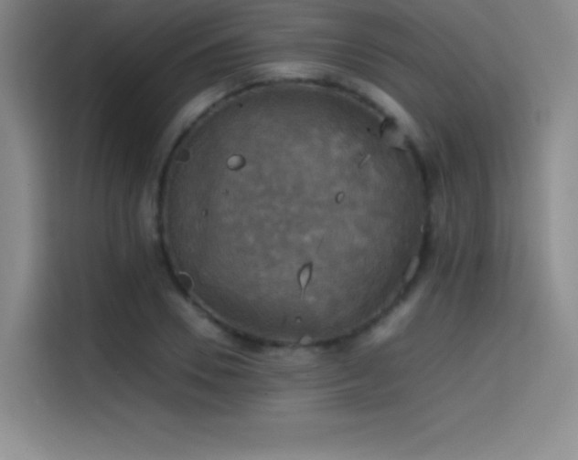 X0000114620930200910201129