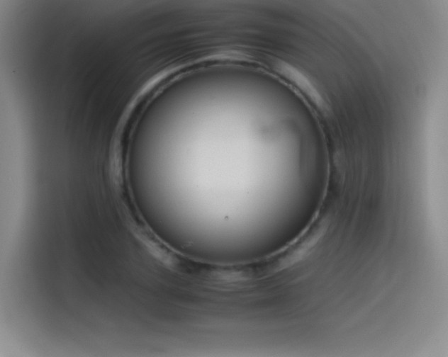 X0000114620931200910201129