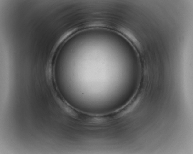 X0000114620933200910201129