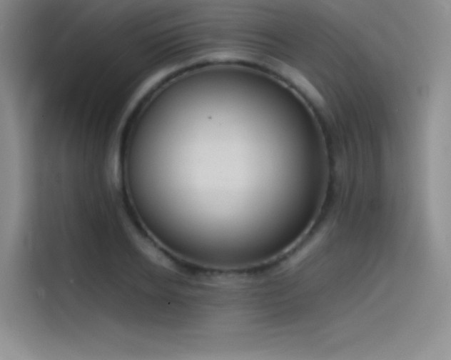 X0000114620934200910201129