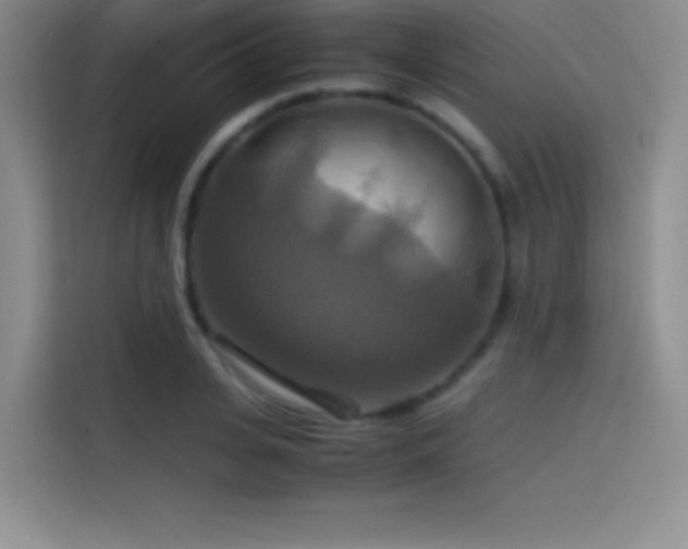 X0000114620935200910201130