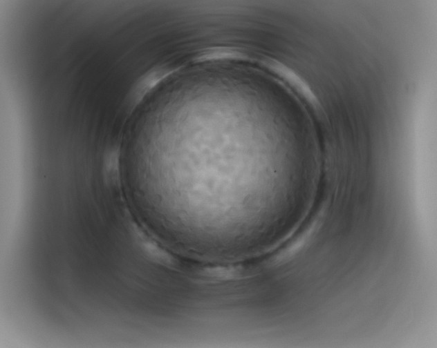 X0000114620937200910201130