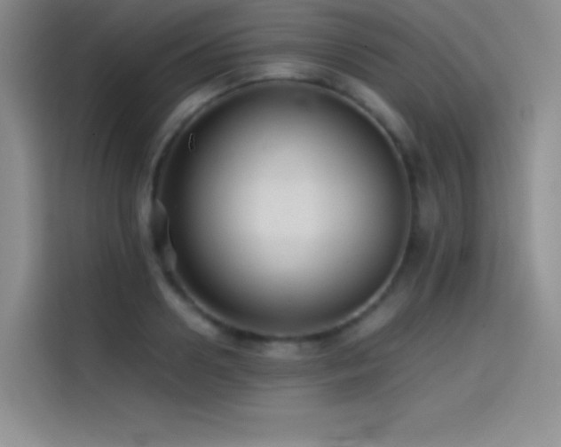 X0000114620938200910201130